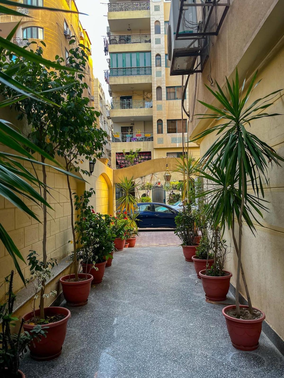 Large Stylish In Sheraton Near Airport *